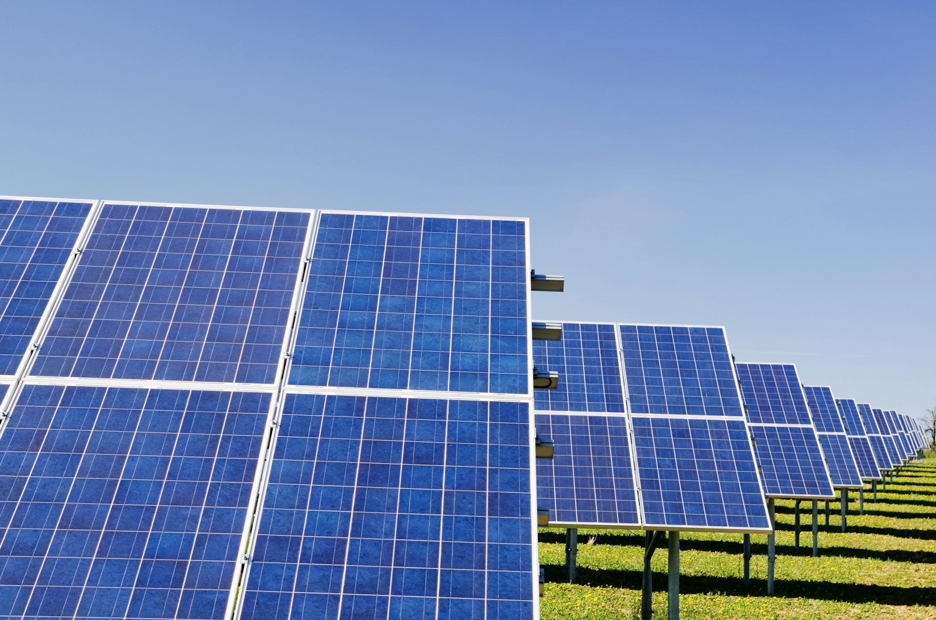 A field of solar panels